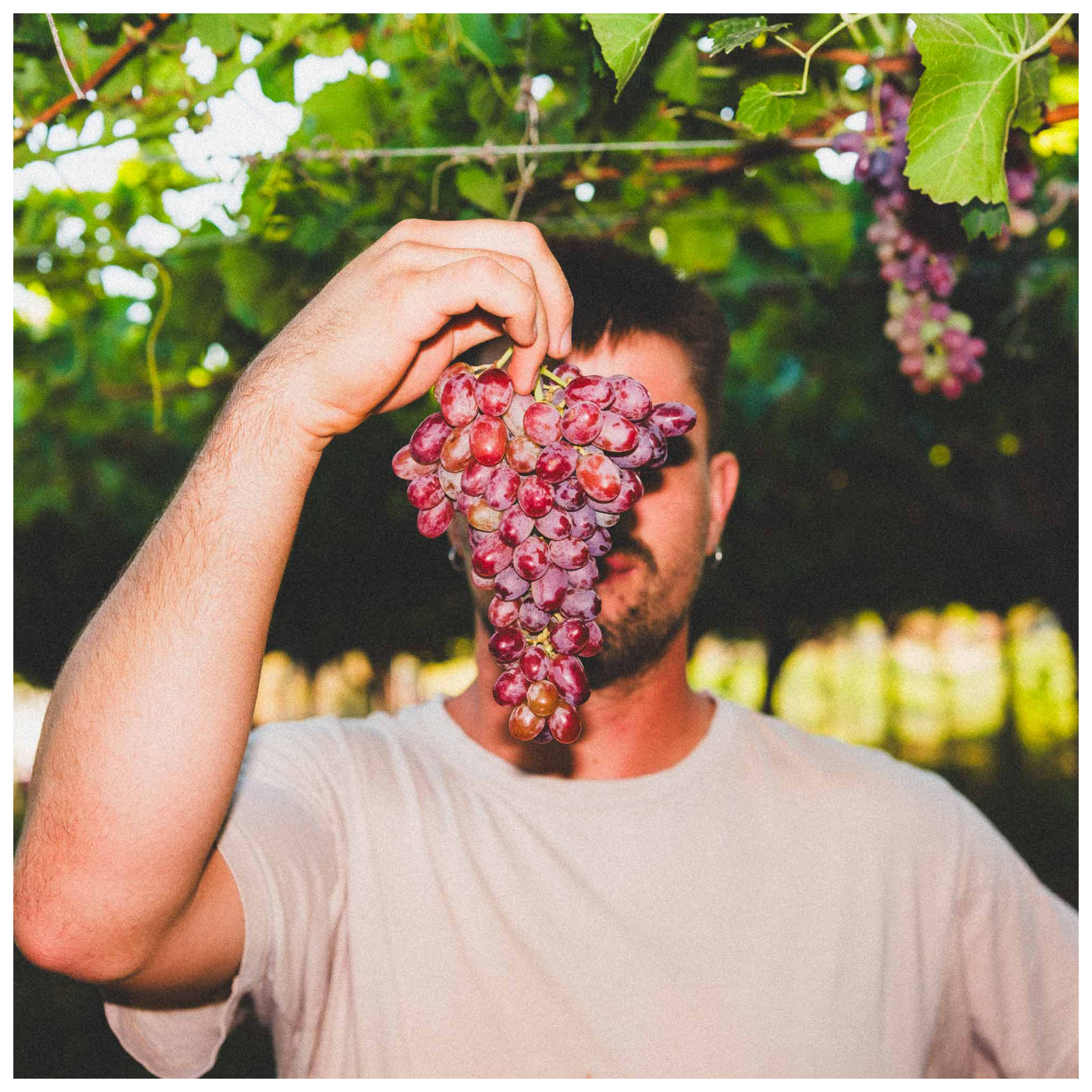 20240903_LCRS_SeleccionLCRS_FincaElZariz_LQ_9